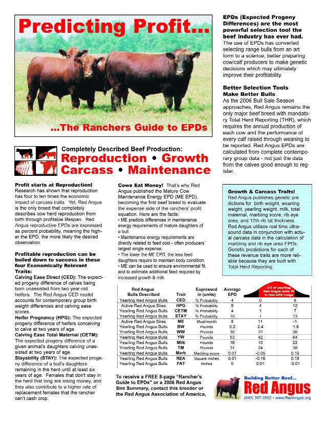 Red Angus remains the only major beef breed with mandatory Total Herd Reporting (THR), which requires the annual production of each cow and the performance of every calf raised through weaning to be