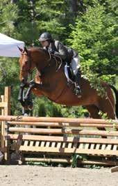 USEF REGIONAL II (C) Rated Hunter Divisions AND CLASSES DIVISION SECTION CLASS DIVISION FEE CLASS FEE PRIZE MONEY Per class Pre-Green Working Hunters 3 3 T 22, 23, 97, 98, 99 $150 $40 $150stake