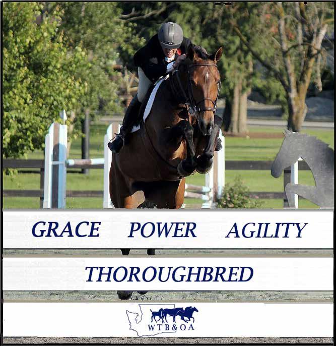 Announcing the Thoroughbred Awards Program Presented by Hunter s Run Equestrian Center High Point Hunter & Jumper Awards at Each Show High point Overall Hunter High Point Jumper overall High Point