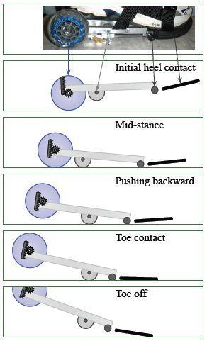 Figure 12: GEMS motion throughout the stance phase. [1] The front surface of the existing shoe consists of a free roller and a rubber surface to increase friction during toe off.