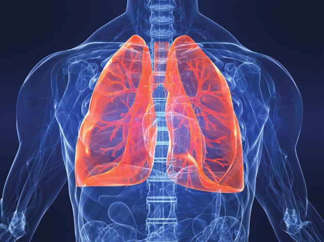 Factors which affect lung function 1. Height Tall people have larger lung volumes than shorter people. This does not mean shorter people have less efficient lungs. 2.