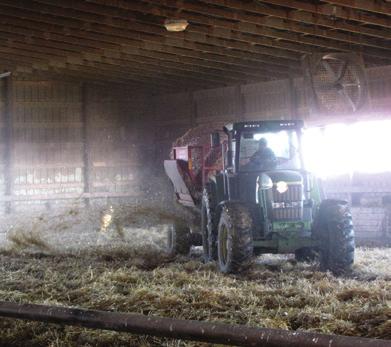 What are the Respiratory Hazards that agricultural workers face? Molds and dust from grain and animal confinement.