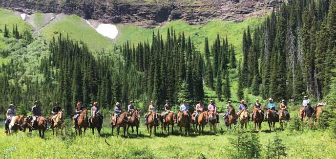 Alberta Fish & Game Association 1st Vice-President s Report Trail ride 2018 was a total success.
