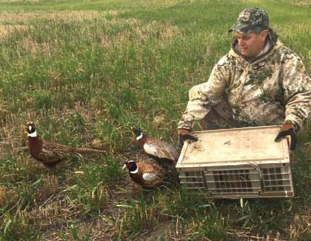 Alberta Fish & Game Association Hunting Chair Report hunting season Is here! By now bird season is well under way and a lot of the early seasons for big game are too.