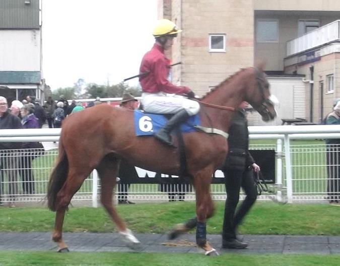 In The Frame Red Anchor Red Anchor ran another pleasing race at Fontwell (1/5/2015). With the ground drying out it may well have been his last race before a summer break.