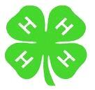 Member Achievement Plan - 9 4-H Gold Guard Pin Application Form Pratt County 4-H Name: Age: Years in 4-H: 4-H Club/ Group: County/District: To receive the Gold Guard Pin, complete, during the current