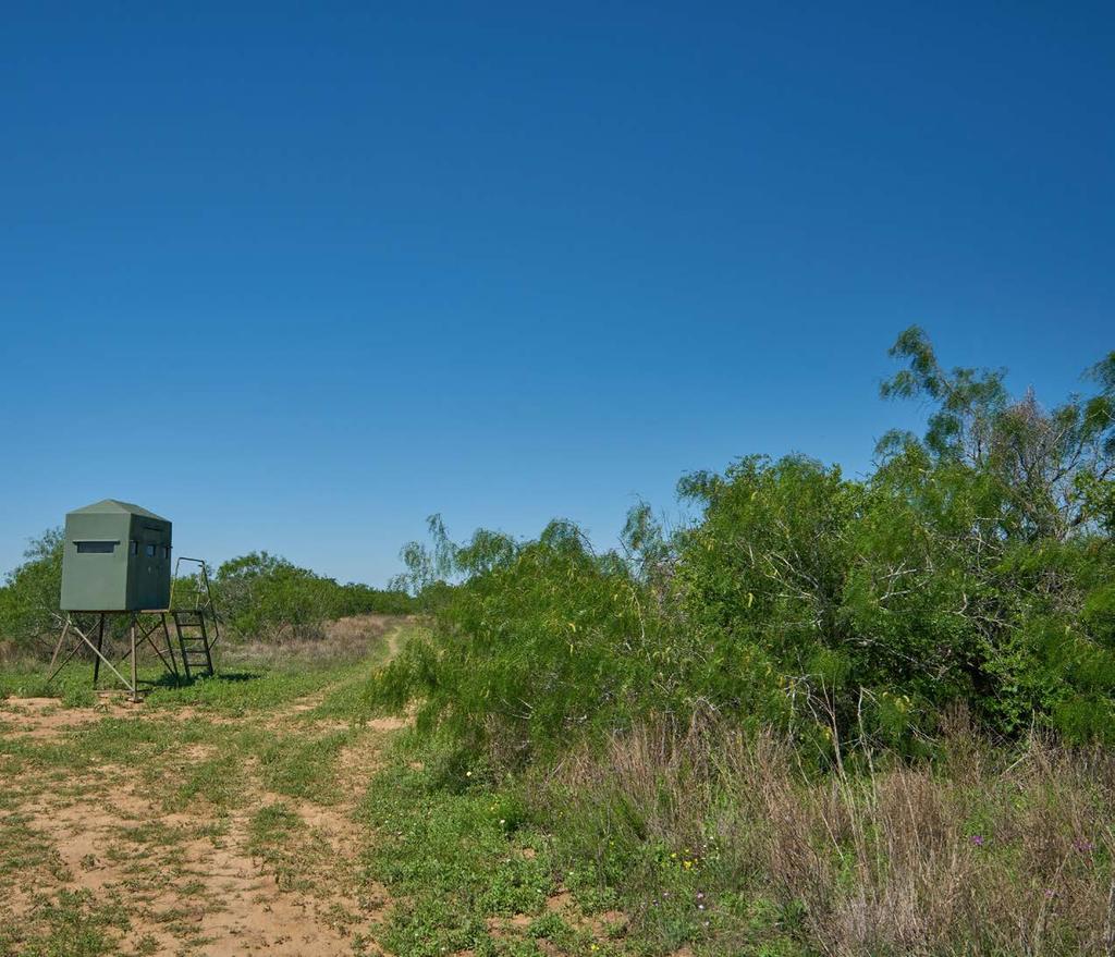 Dove hunting on the ranch is strongly supported by 7 small ponds that are supplemented by water wells.