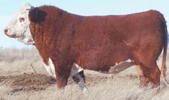 miss patend 1315 r miss page 143 A Puckster son we sold to Grady Sparks and is now serving in the ABS
