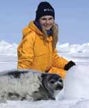 The Canadian government still sanctions an annual seal hunt even though its economic value has greatly diminished.