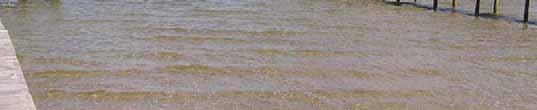 sand bars indicate sand supply,