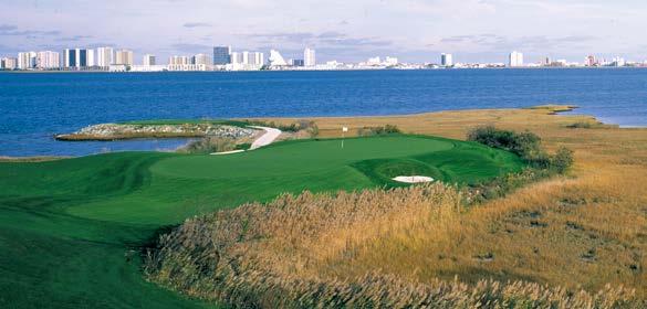 Golfer 2 Oceanfront Properties Oceanfront and