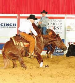 HR CATS MEOW 2013 SORREL MARE (HIGH BROW CAT x CLASSICAL CD by CD OLENA) IM A CAT WITH RHYTHM 2017 PALOMINO MARE (PALO DURO CAT x MY RHYTHM N BLUES by HAIDAS LITTLE PEP) IMA MISS LITTLE LENA 2016 RED