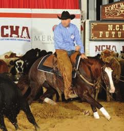 Sells with rebreed to SMOOTH AS A CAT. STYLIN ROXY 2005 CHESTNUT MARE (DUAL PEP x HIGH STYLE TRAVALIN by TRAVALENA) Winner of $30,300.53 NCHA.