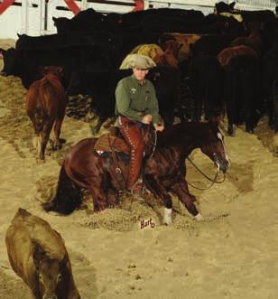 32 Cattle Company Susie Reed P.O.