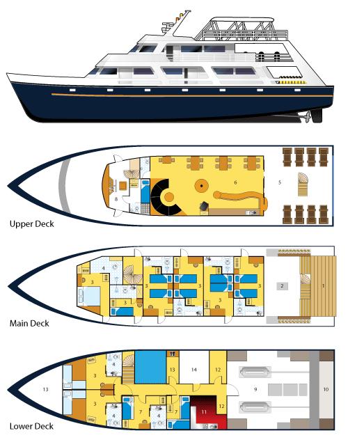 MV MERMAID I Length 28 m / 9 feet 15 guests in 7 double/twin + 1 single cabin Beam 7 m / 21 feet 3 x staff cabins Draft 2.5 m / 8 feet 10 bathrooms with hot water Water 20.