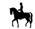 Newcomers/Intermediate, LATT Horse of the Year Park Ridge Pony Club Grounds
