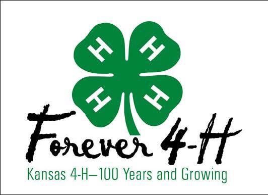 What Do 4-H Ribbons Mean?