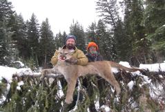 Montana Mountain Lion! 2018/19 Mountain Lion HUNTS Rifle - Handgun - Archery Hunting Rick Wemple has established himself as one of the West's foremost Lion Guides.