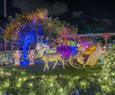 What is Hoffman s Chocolates Winter Wonderland? One of South Florida s most popular holiday attractions that takes place annually in the beautiful Gardens at Hoffman s Chocolates Famous Factory Store!