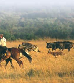 This 5-night trip for four is all-inclusive of professionally guided riding activities,