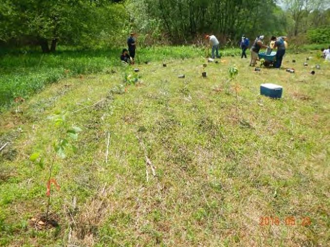 2015 CSBI Projects Project f Bank Length (feet) Amount Hamden: Terry Clove Native Planting 460 $5,690 Andes: Beech