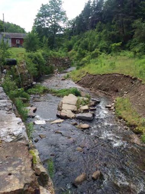Third Brook Sites 8 & 9 Original work took place in 2014 Spring 2015 rains resulted in flanking of EWP structure and stream bank failure Some ACOE funds remained