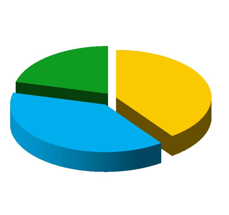 2014 2013 21% 21% 40% 41% 39% 38% DOREL