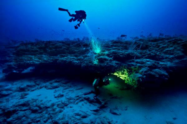 At 350 feet into the abyss, Laurent Ballesta found his first coelacanth, tucked into a wall of rock punctured with cave openings.