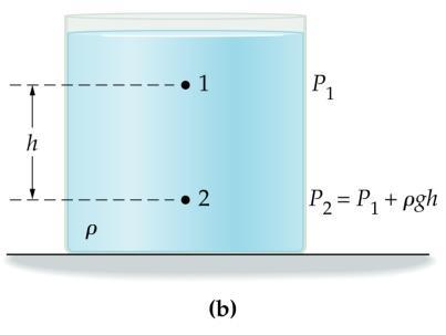 Fluid Pressure Absolute Pressure as a Function of Depth p p gh 0 Where p = absolute pressure, p 0 = pressure at point of