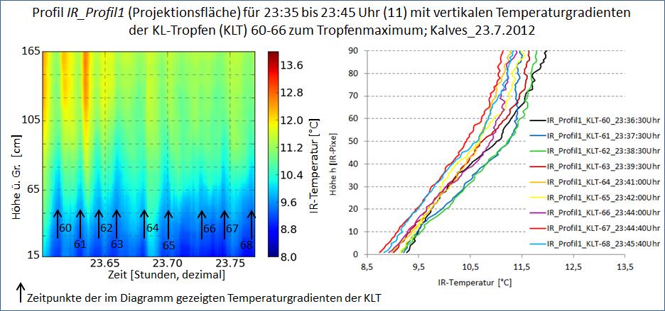 height over ground [cm] IR temperature [ C] height over ground [IR-Pixel] Analysis of katabatic flow using infrared imaging at micro- and mesoscale - micro scale - Observation of passing cold air