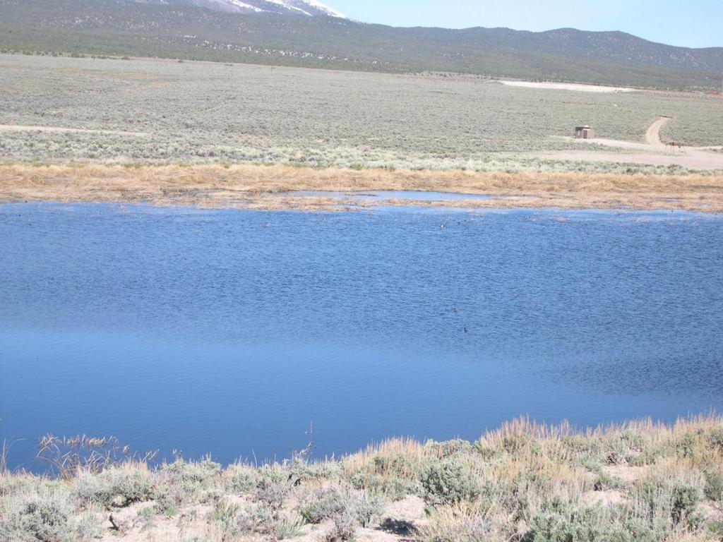 Comins Lake Located 7 miles south of Ely. Built in 1953 as storage reservoir for 3-C Ranch. 410 surface acres at capacity. Max depth of 14 feet with an average depth of 4-6 feet. Fed by Steptoe Creek.