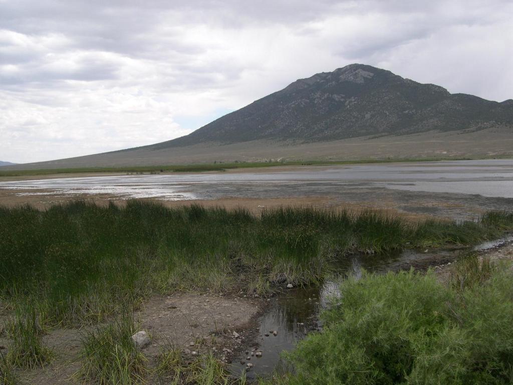 Bassett Lake Located 5 miles northwest of McGill. 77 surface acres at capacity. Constructed in 1942 by Kennecott Copper Co.