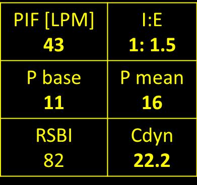 Monitoring PIF the measured peak inspiratory flow in liters per minute. I:E the inspiratory to expiratory ration. P base the actual measured PEEP value.