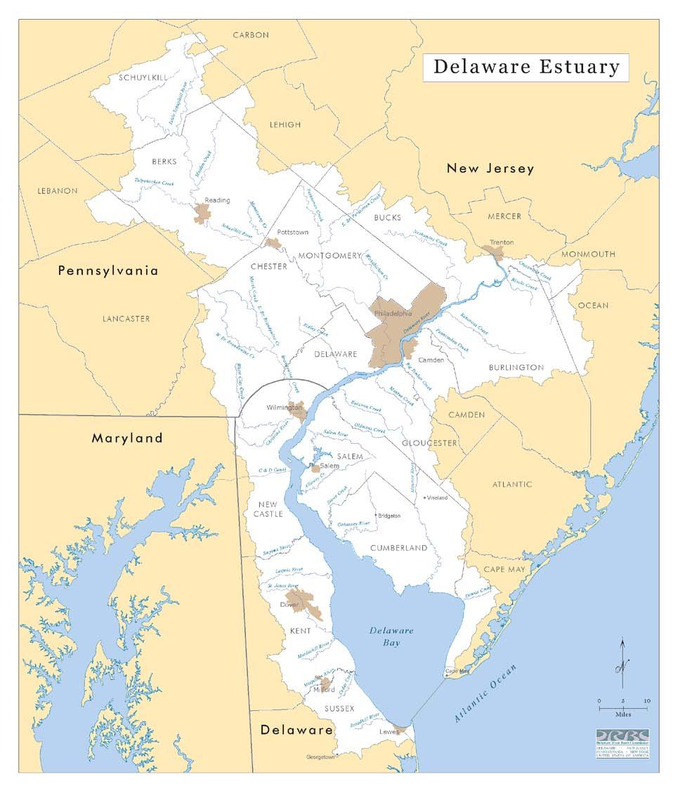 Delaware Estuary Estuary length = 215 km Model domain River km 99 215 200 km Chesapeake & Delaware Canal: km 94 150 km Turbidity max: km 50 120 100 km Salt intrusion