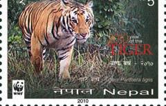 Rep Throughout the Year of the Tiger 2010, WWF, will be working, in