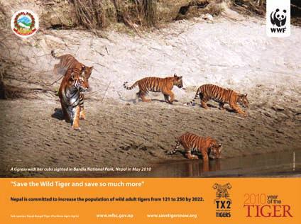 PM to 8:00 PM Samudayik Radio Fri 6:35PM to 6:50 PM Solu FM Save the Wild Tiger and save so much more!