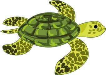 #14: Sea turtles are quite interesting creatures.