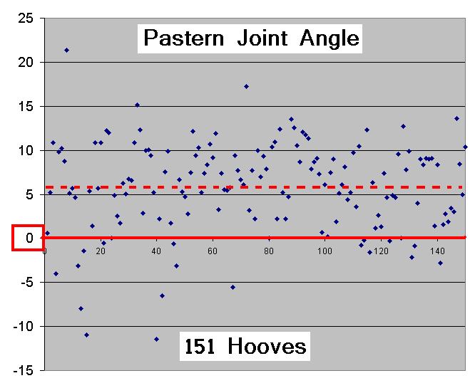 Figure 6 The average pastern-joint angle was 5.