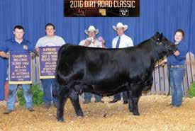 This popular son of Post Rock Elba 50U2 who was purchased as lot 121 in the 2014 Post Rock Sale.