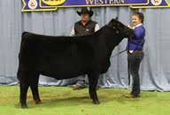 Post Rock Wilma 294Z8 ET, her first natural calf was the Supreme Champion Bred and Owned Purebred Female at the 2016 Dirt Road Classic for