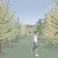 If the target is placed in a "corridor" of trees, you