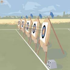 Introduction In some countries field shooting is a popular archery shooting discipline, but in order to make it more popular and easier for beginners to take up field shooting, also in countries