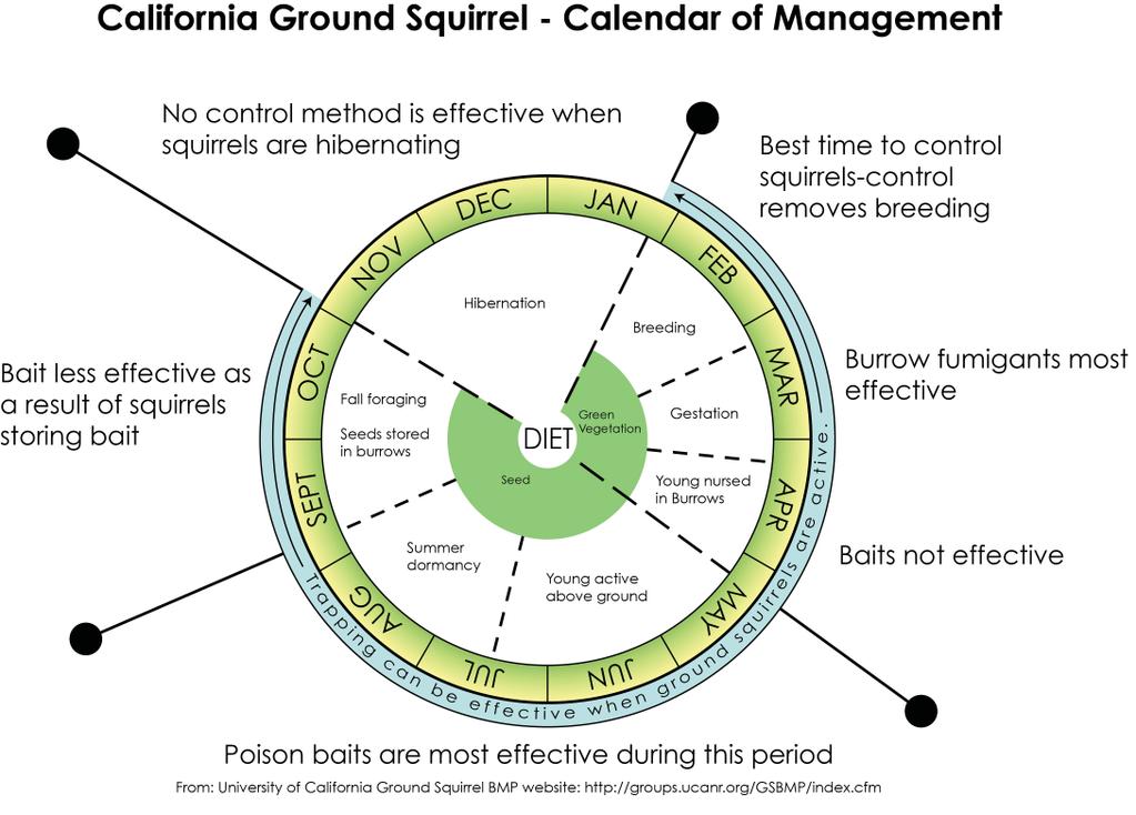 It s important to find the burrow, because most control efforts are applied in or near active burrows. The control calendar (wheel) (Fig. 4 English and Fig.