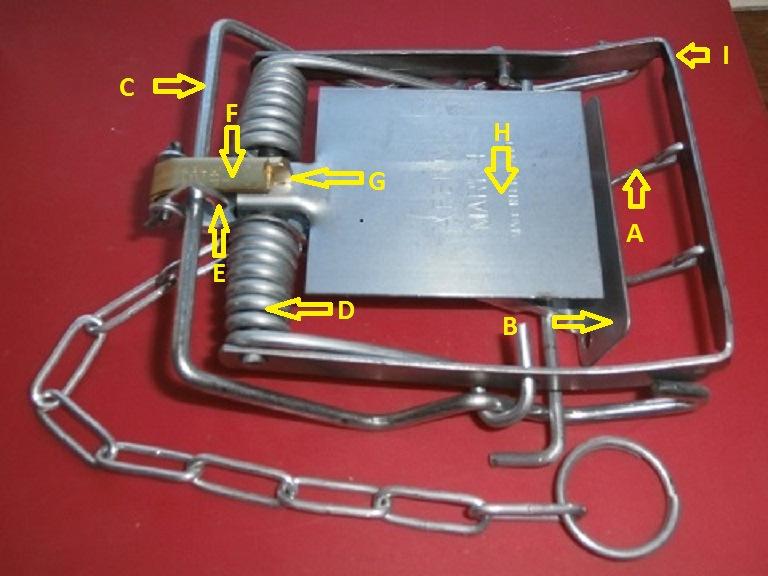A Guide to Setting Fenn Spring Traps Extreme care must be taken when setting a Fenn trap as the springs are extremely powerful and could easily break finger bones or actually sever fingers completely.