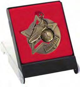 GTG886 MC4 Medal case shown