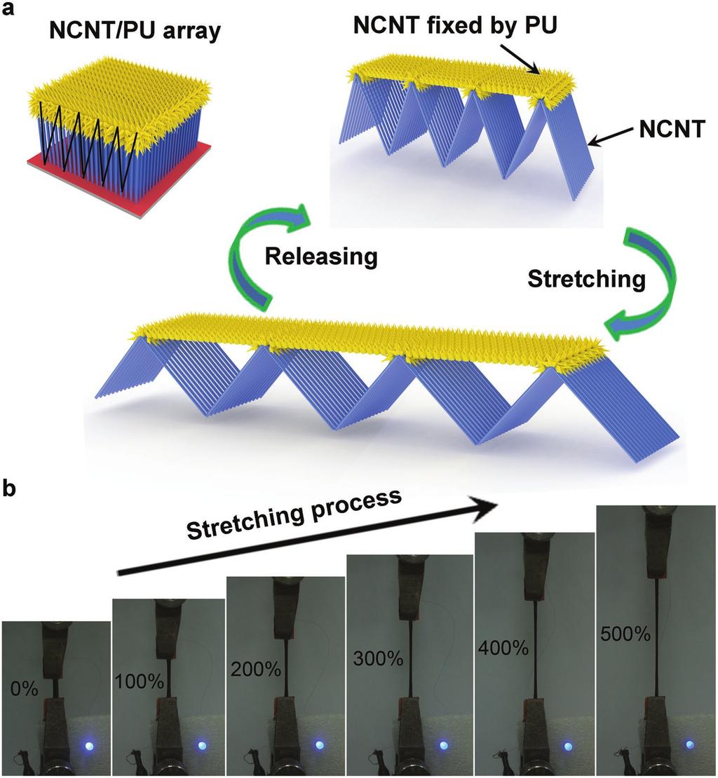 www.advancedsciencenews.com Figure 3. a) Schematic illustration to the stretching mechanism of NCNT/PU film. b) Photograph of the NCNT/PU film with strain increased from 0 to 500%.