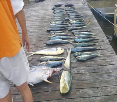 At times it was like a Chinese fire drill we were running around amd under each other, the only problem we had was that you weren't sure how big your Mahi was because at times you had 10lbs of grass