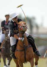 Andrade Gonzalito Pieres Fred Mannix ALT Team Rating Totals Top,