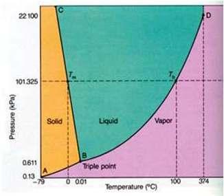 Triple Point The only temperature and pressure at which three phases (gas,