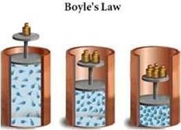 Gas Laws of Gas Behavior Boyle s Law: Decrease a container s volume by one half